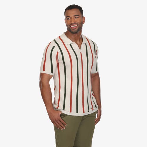 Vustra Havana Nights Luxe Knit Polo In Multi