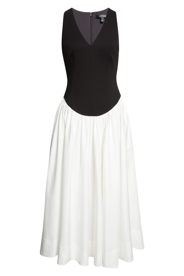 Lavinia Sleeveless A-Line Dress, Alternate, color, JET/ OPTIC