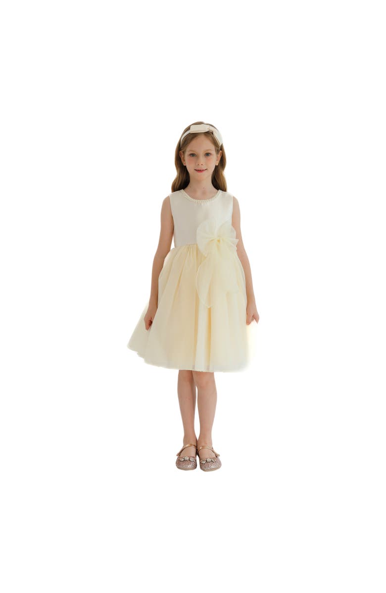 Tulleen Felice Dress, Alternate, color, Champagne