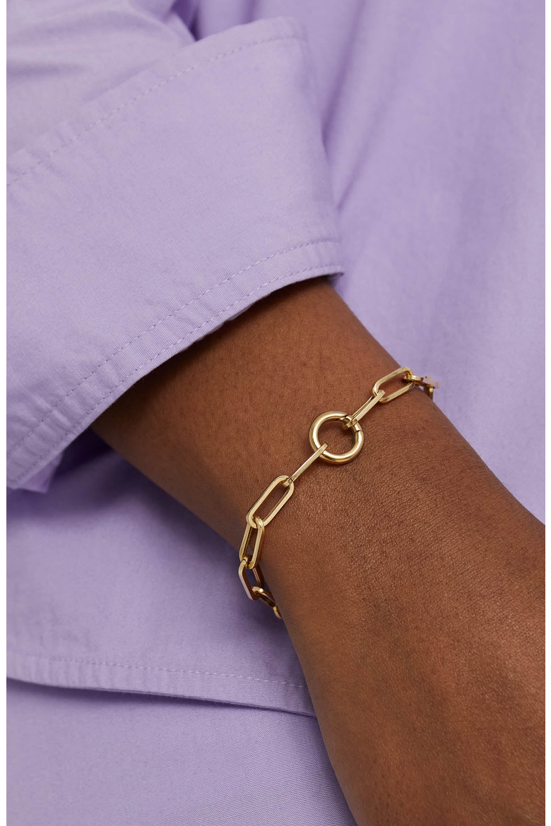 Paperclip Chain Charm Bracelet, Alternate, color, 18k Gold Vermeil
