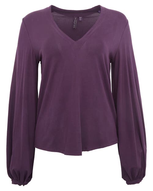 Lords Of Harlech Val Long Sleeve V-neck Shirt In Purple