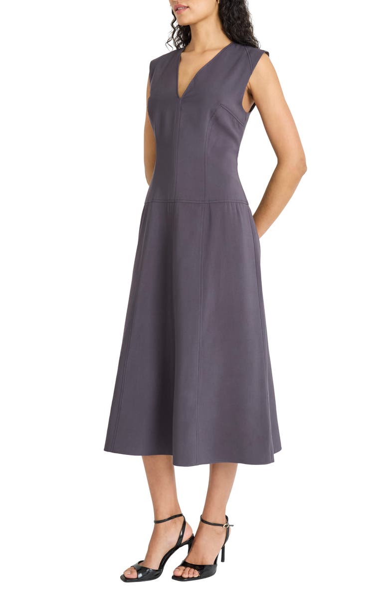 Maggy London Seamed Sleeveless Midi Dress, Alternate, color, Obsidian