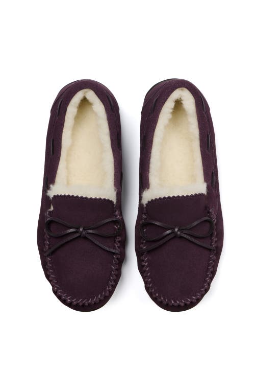 Abeo Amble Bow Slipper In Dark Purple - Regular