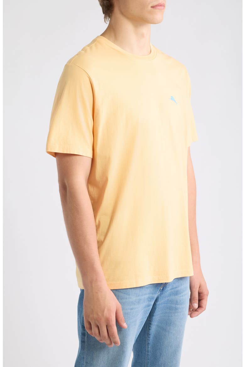 Tropic Block Cotton T-Shirt, Alternate, color, APRICOT CREAM
