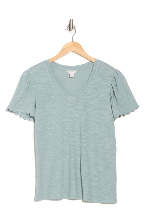 Shop Caslon ® Scallop Trim T-shirt
