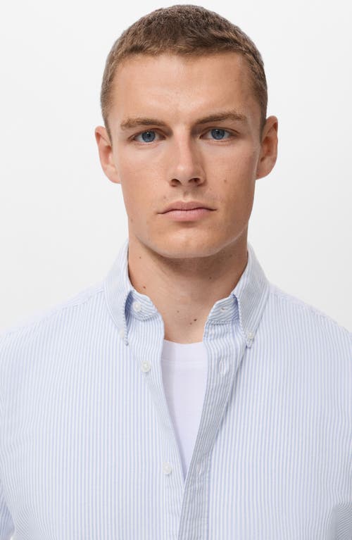 Mango Stripe Cotton Button-up Oxford Shirt In Blue