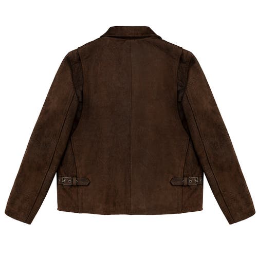 Last Wolf Indiana Dunes Moto Jacket In Brown