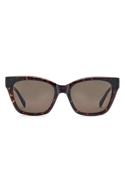Fossil 53mm Cat Eye Sunglasses In Brown