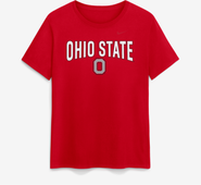 Nike Women's Nike  Scarlet Ohio State Buckeyes Arch Logo T-Shirt