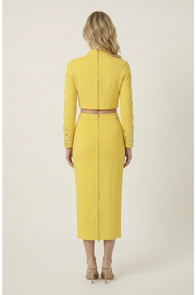 Embellished Crop Top and Midi Skirt Set, Alternate, color, Yellow
