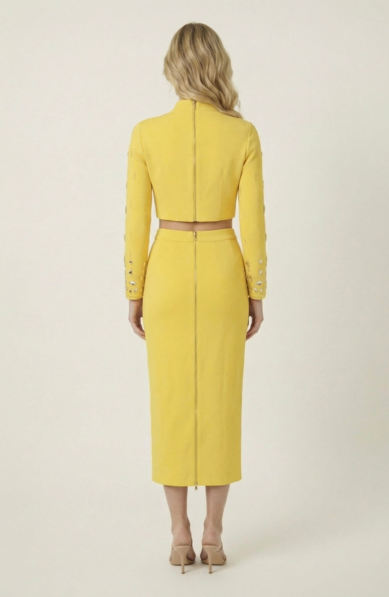 Modenaire Embellished Crop Top and Midi Skirt Set, Alternate, color, Yellow