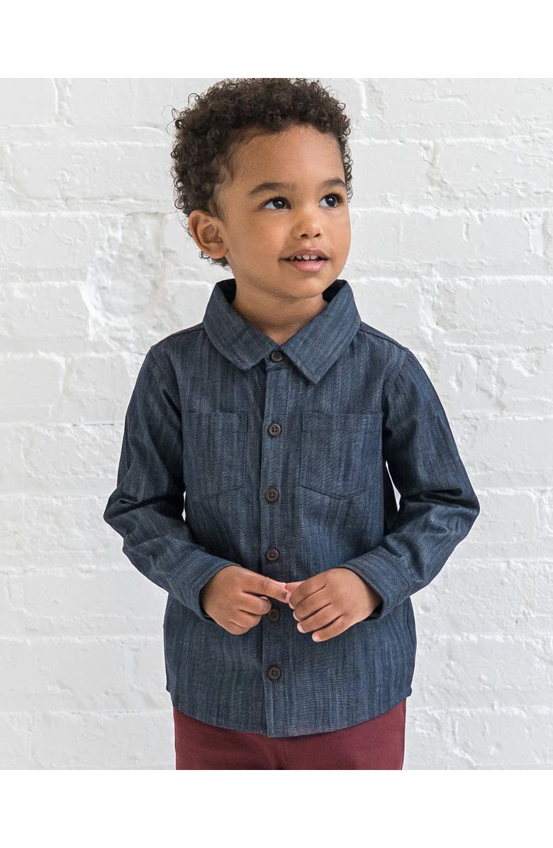 Kendi Hayes Chambray Long Sleeve Collared Shirt, Alternate, color, Chambray