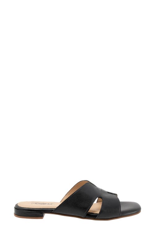 Trotters Nell Slide Sandal In Black