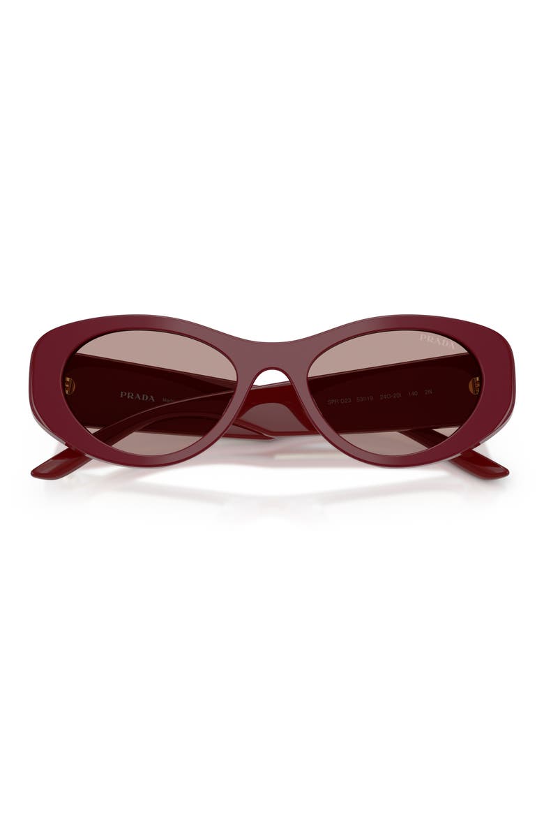 53mm Oval Sunglasses, Alternate, color, BAROLO / LIGHT PURPLE BROWN
