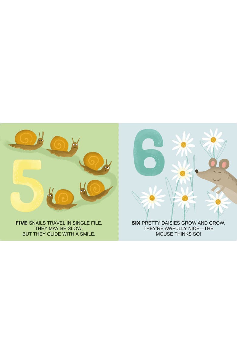 Sassi Ecoblocks Nature 10 Stacking Cubes 
Booklet, Alternate, color, Multicolored