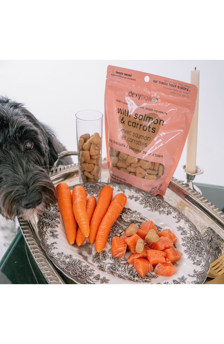 Dexypaws Salmon & Carrot Dog Biscuits 12oz All Natural Pet Treats, Alternate, color, Brown