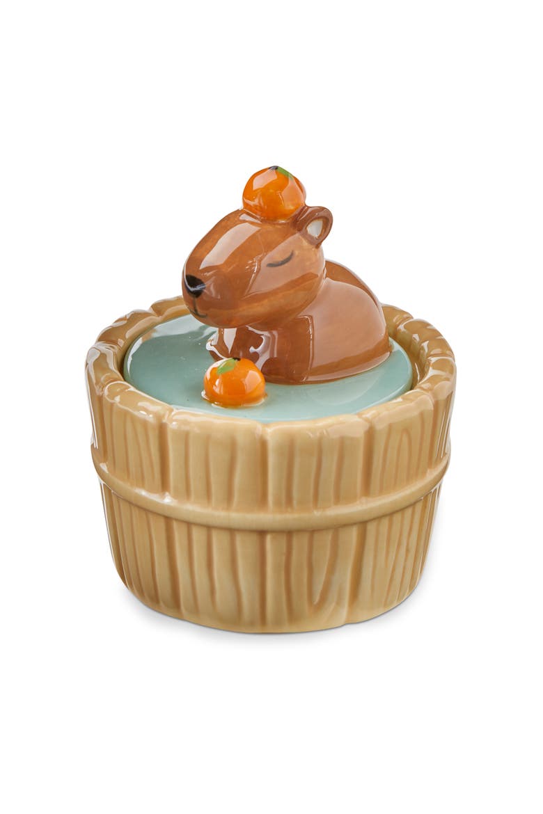 Capybara Lidded Trinket Box Multi Earthenware Everyday, Main, color, Brown