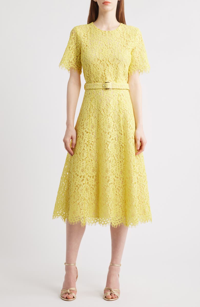 Elie Tahari The Lex Sunshine Lace Dress, Main, color, 