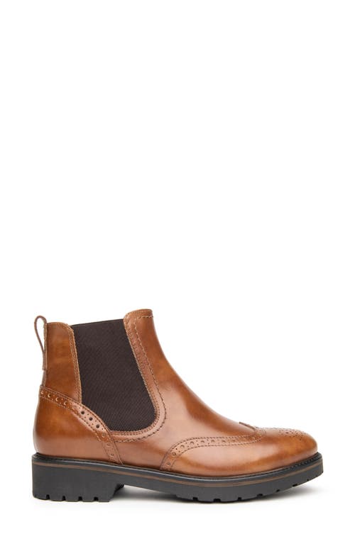 Nerogiardini Brogue Chelsea Boot In Brown
