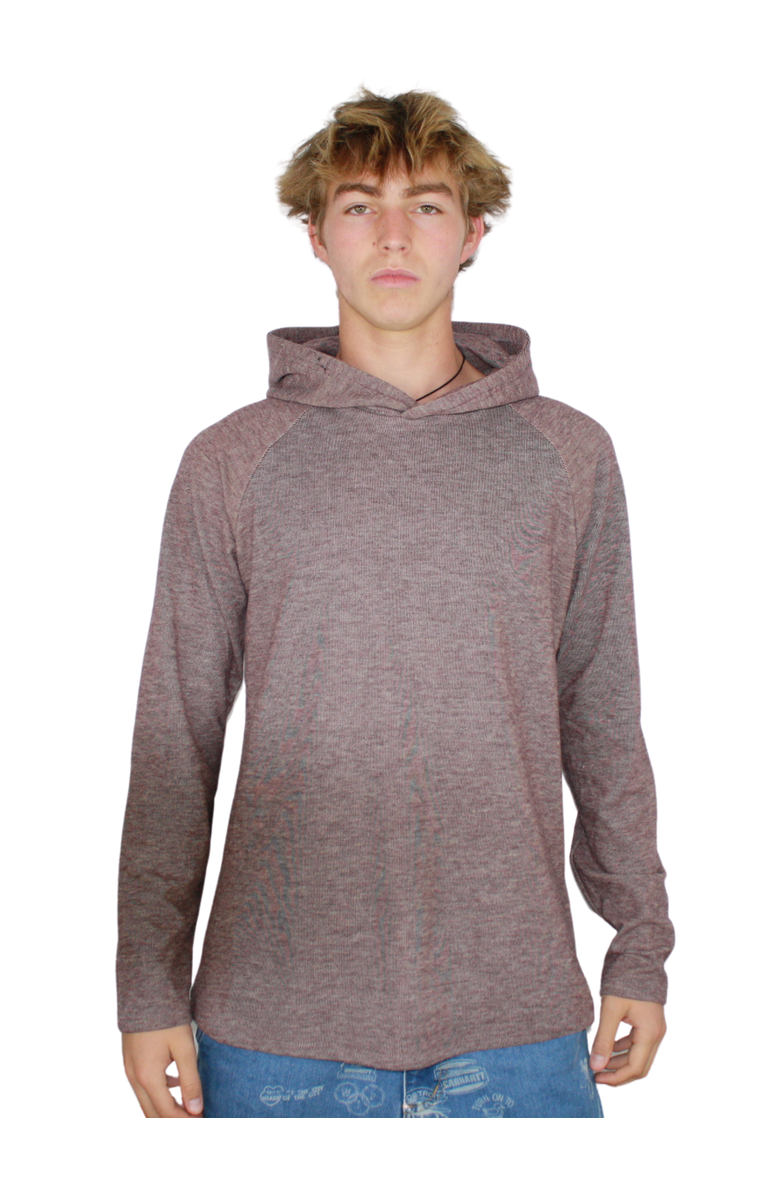 Ledger & Ford Burgundy Bodega Super Soft Hoodie, Alternate, color, Burgundy