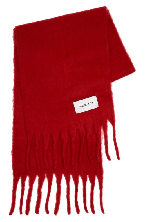 Arctic Fox & Co. Arctic Fox & Co The Stockholm Fringe Scarf In Red