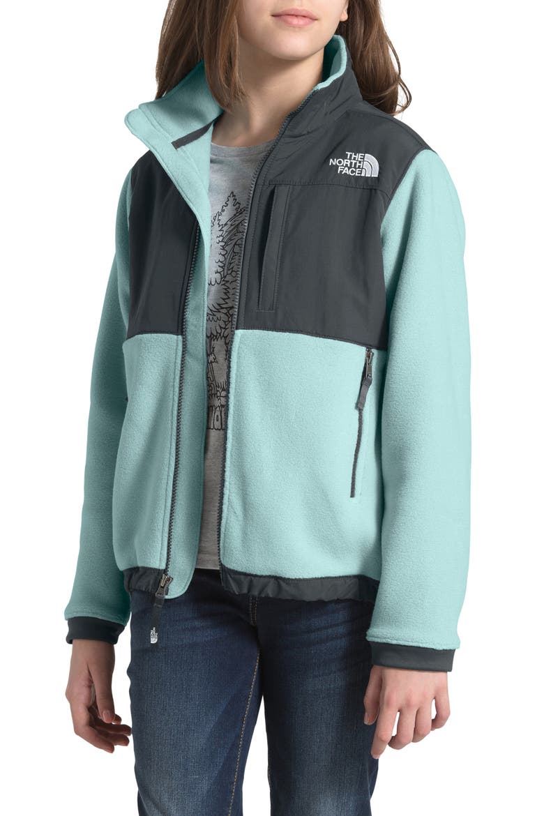 Kids' Denali Jacket, Alternate, color, WINDMILL BLUE