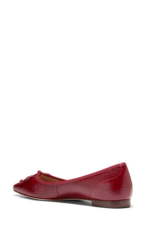 Cole Haan Chlea Pointed Toe Ballet Flat In Brown