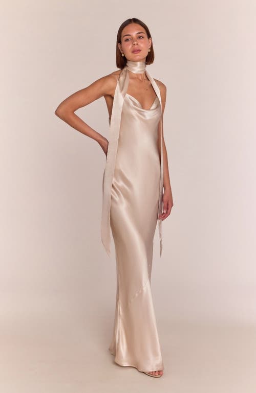 Rewritten Pollenca Cowl Neck Dress