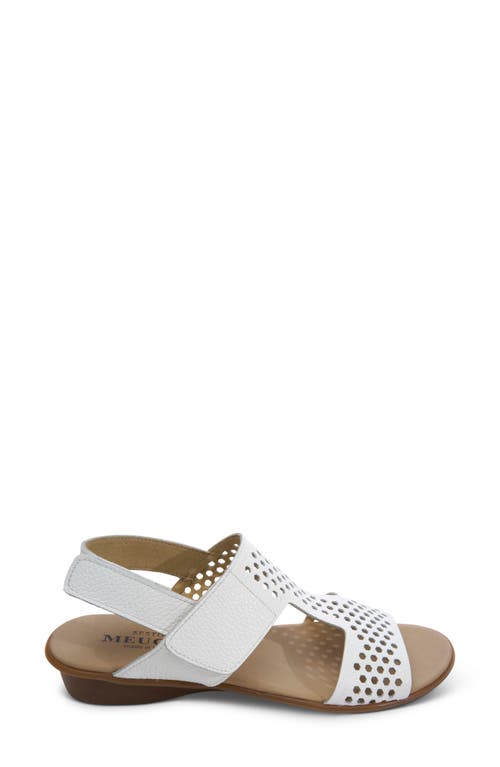 Sesto Meucci Elicia Slingback Sandal In White