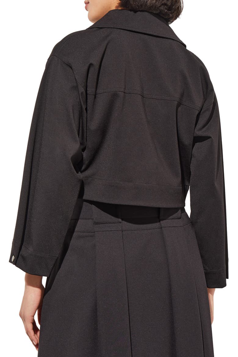Zip Front Crop Jacket, Alternate, color, BLACK