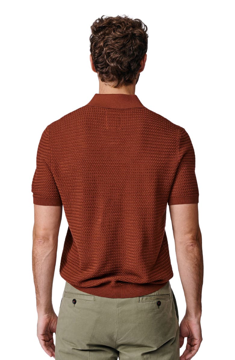 Aubin Alford Textured Cotton Polo Shirt, Alternate, color, Rust