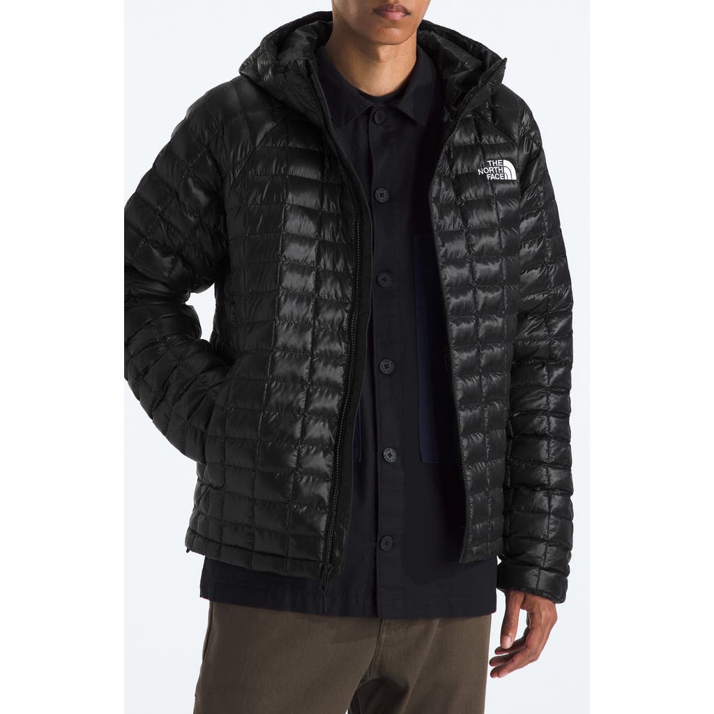 The North Face Thermoball Quilted Hooded Jacket In Black
