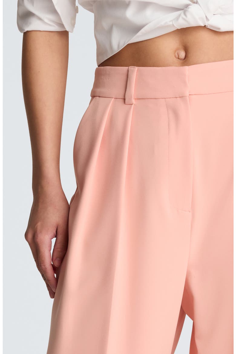 Double Pleat Wide Leg Pants, Alternate, color, SOFT PEACH
