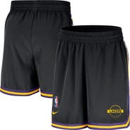 Nike Men's Nike Black Los Angeles Lakers Authentic Practice DNA Woven Performance Shorts