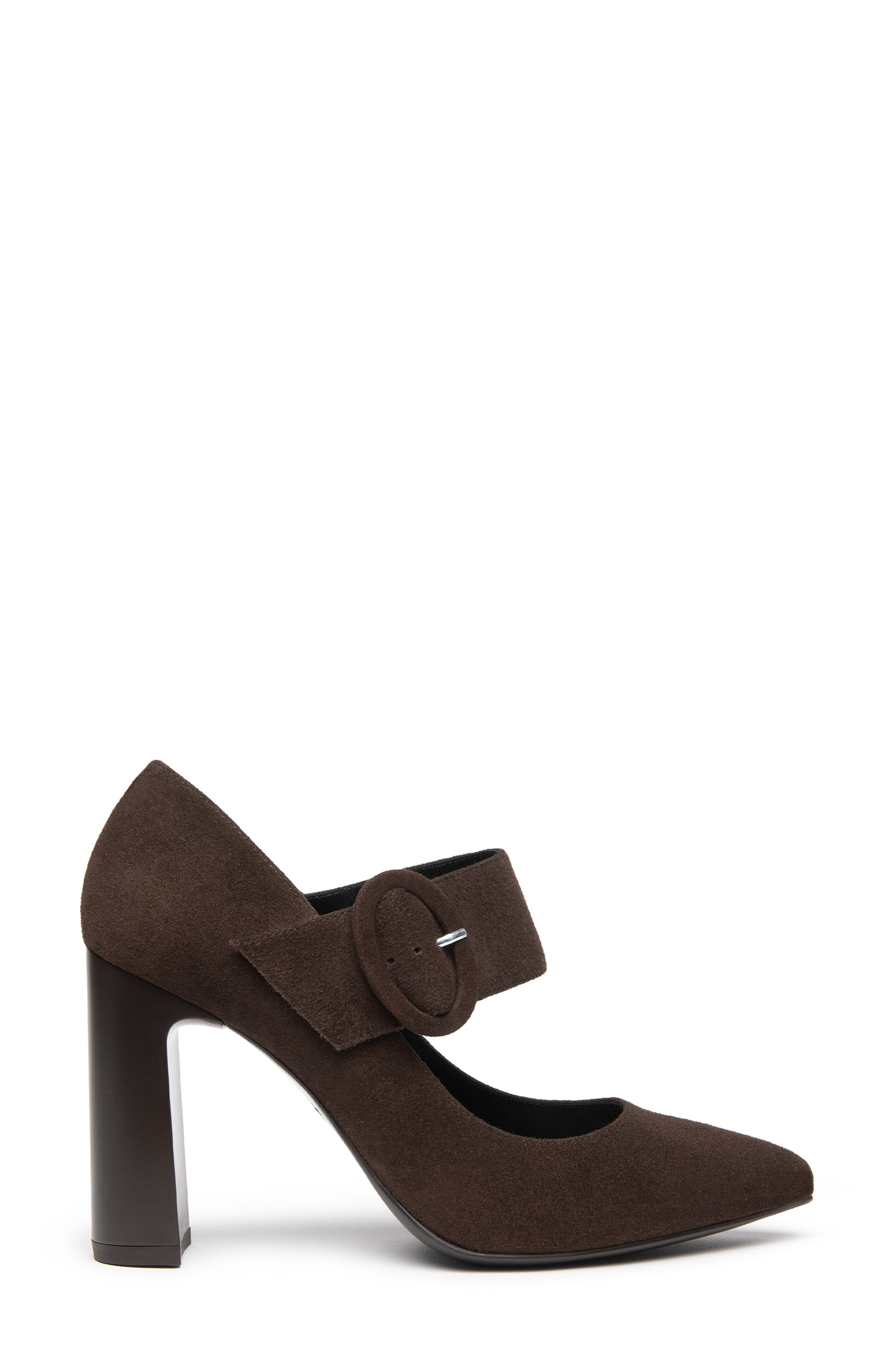 Leather Pointed Toe Mary Jane Pump, Alternate, color, CHOCOLATE