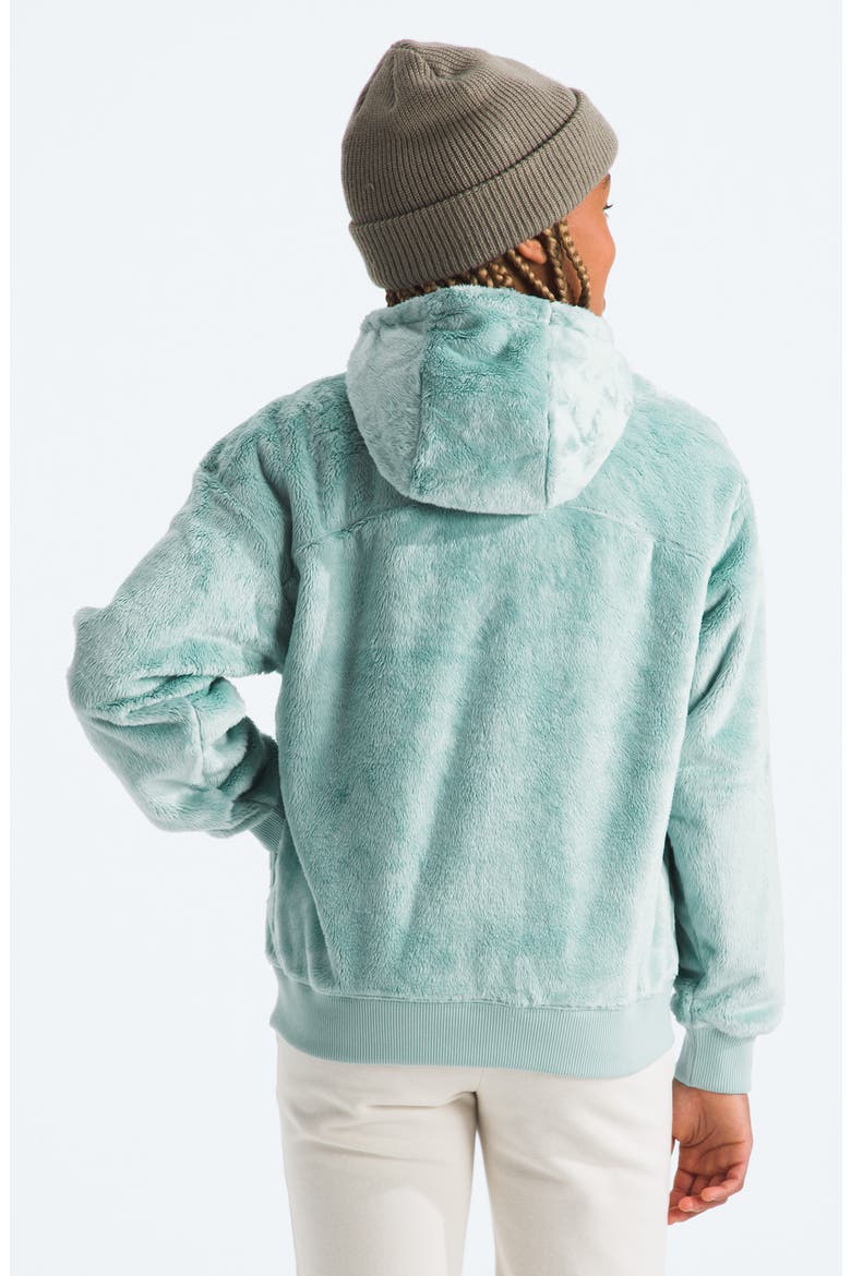 Kids' Osito High Pile Fleece Full Zip Hoodie, Alternate, color, MUTED PINE