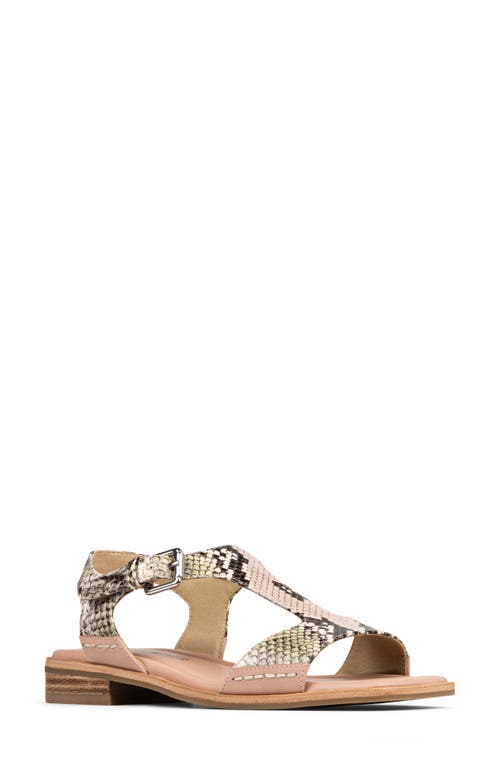 Donald Pliner Dria T-strap Sandal In Rosette