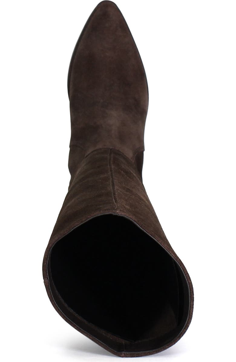 Diba True DIG ITAL Leather Sleek Tall Boot, Alternate, color, Dark Brown