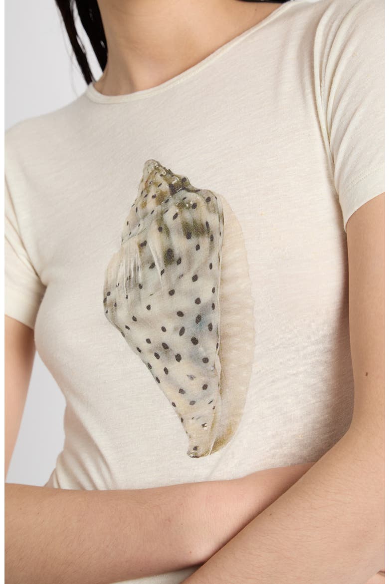 Shell Graphic Tee, Alternate, color, OFF WHITE