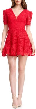 Dress the Population Hallie Lace Tiered Minidress