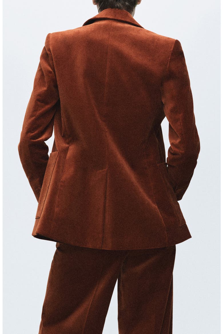 Velvet Blazer, Alternate, color, BURNT ORANGE