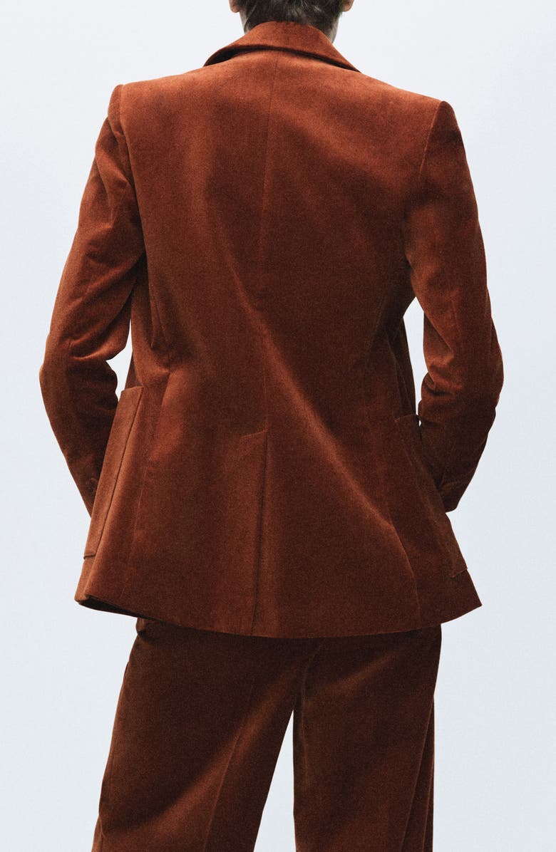 MANGO Velvet Blazer, Alternate, color, Burnt Orange