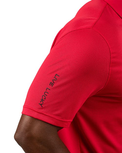 Black Clover Tubbs Polo In Red