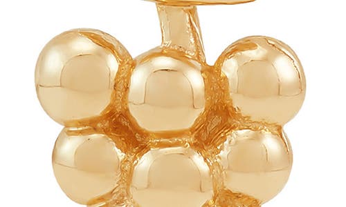 Frankie & Zoe Grape Stud Earrings In Gold