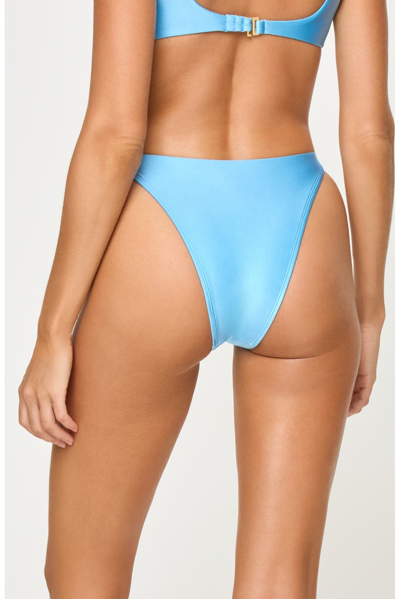Leilani Rose Appliqué High Cut Bikini Bottoms, Alternate, color, SEA SPRAY / CREAM