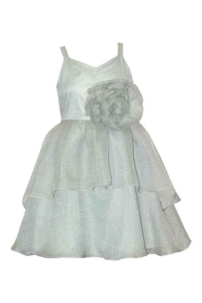 Kids' Rose Organza Dress, Main, color, SAGE