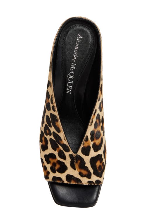 Alexander Mcqueen Mcqueen Genuine Calf Hair Open Toe Mule In Leopard Print Calf Hair/black