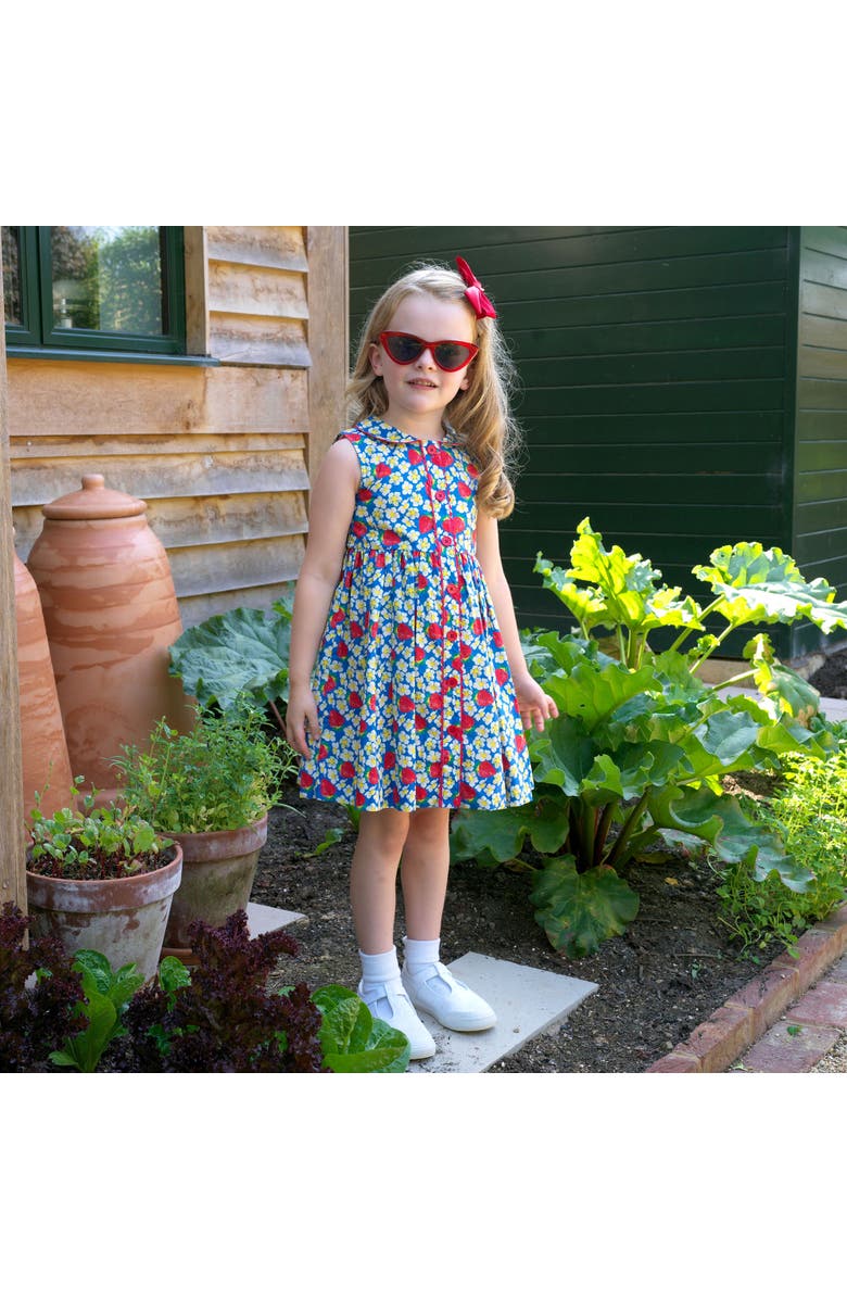 Rachel Riley Strawberry Button-Front Dress, Alternate, color, Blue