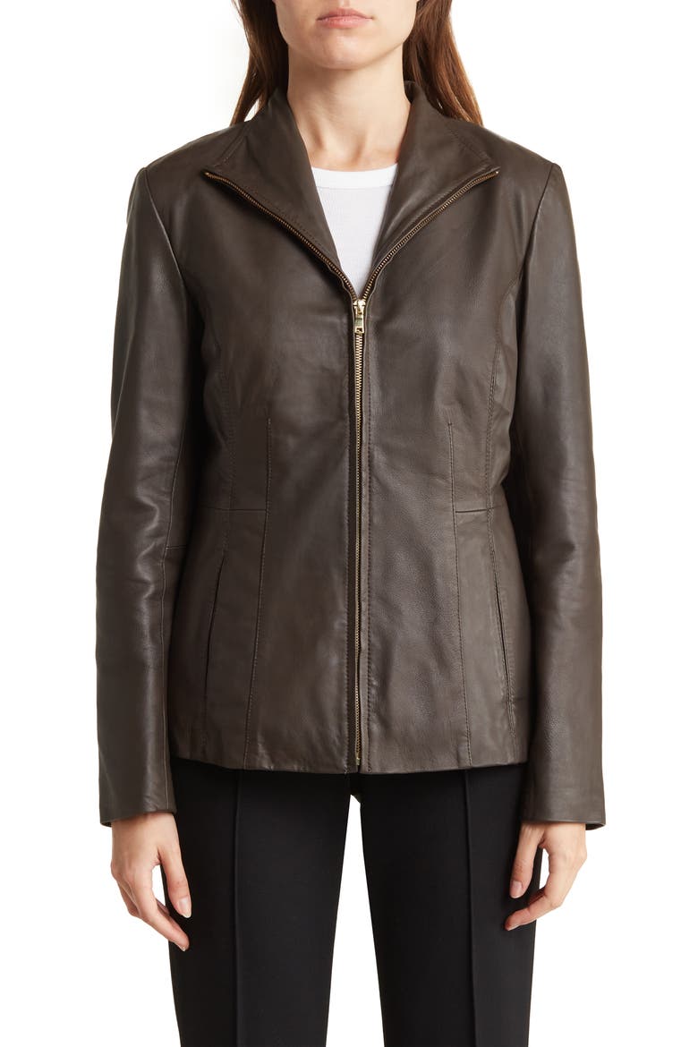 Wing Collar Leather Jacket, Alternate, color, DARK ESPRESSO