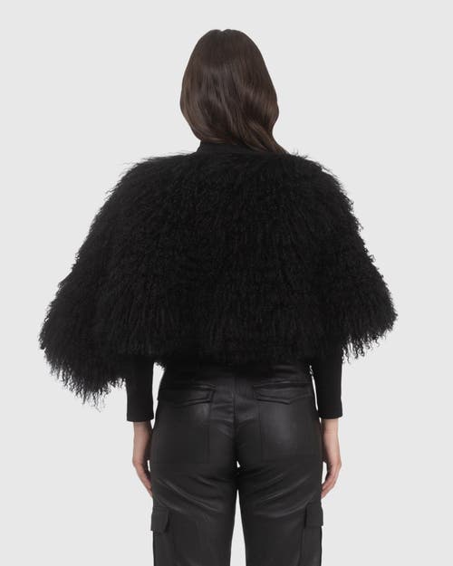 Gorski Select Mongolian Lamb Shawl In Black